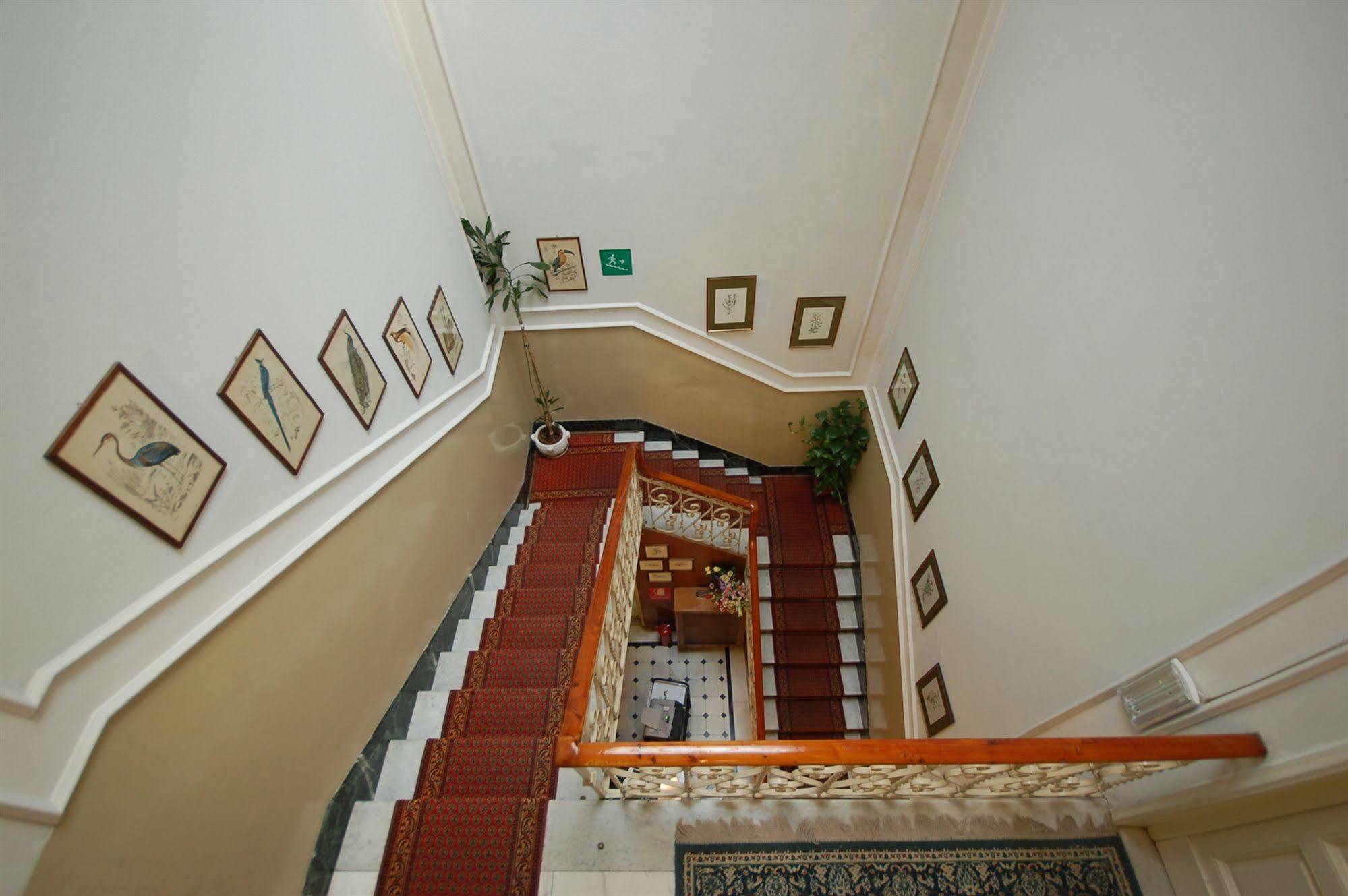 Hotel Ely เวียเรจโจ ภายนอก รูปภาพ